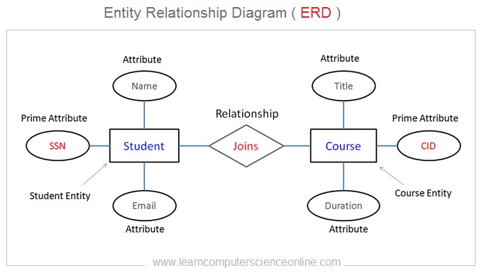 Entity In ER Diagram