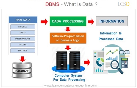 What Is Data In DBMS | Explained Data in Database With Example